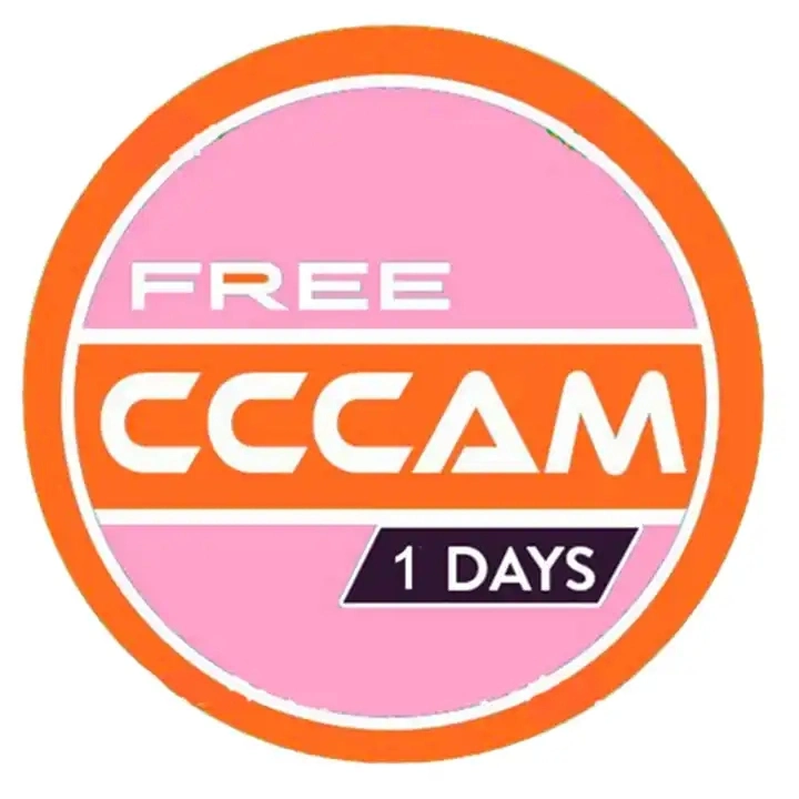 New Europe Egygold Cccam Satellite TV Receiver Stable Server 8 Lines Oscam Cccam Clines Europe Spain Portugal Poland Cccam Oscam