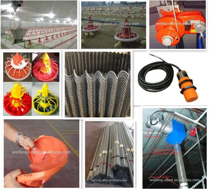 Automatic Poultry Feeding and Drinking System for Chicken Farm House Ground Floor Raising Keeping Equipment