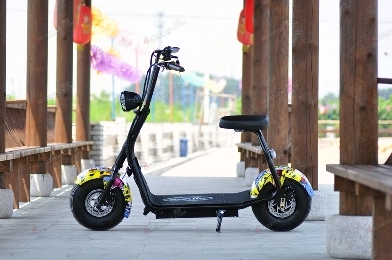 High quality/High cost performance Fat Tire Mini City Coco Electric Scooter Two Wheel 350W