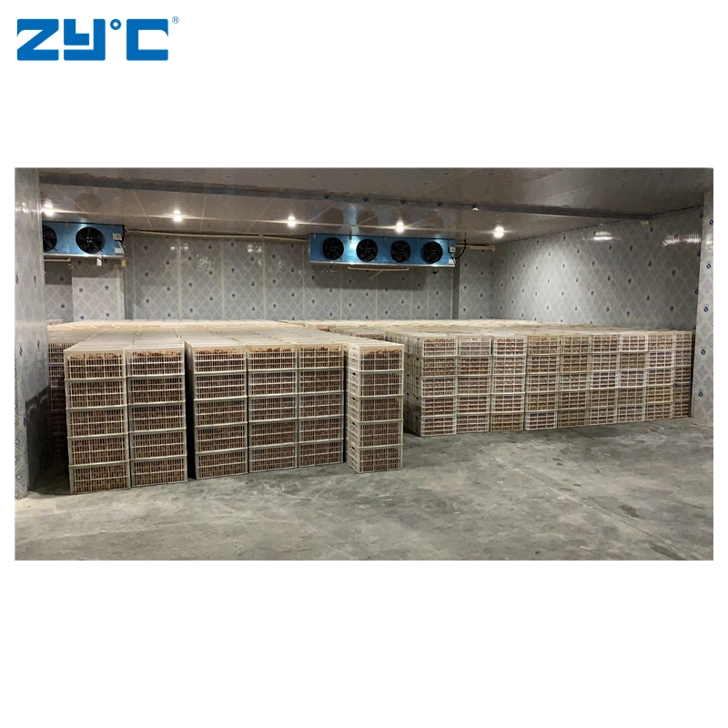 Zyc Design personalizado Cold Storage Walk-in Chiller freezer sala Quick Congelação para refrigeração no armazém de explorações agrícolas para processamento de alimentos