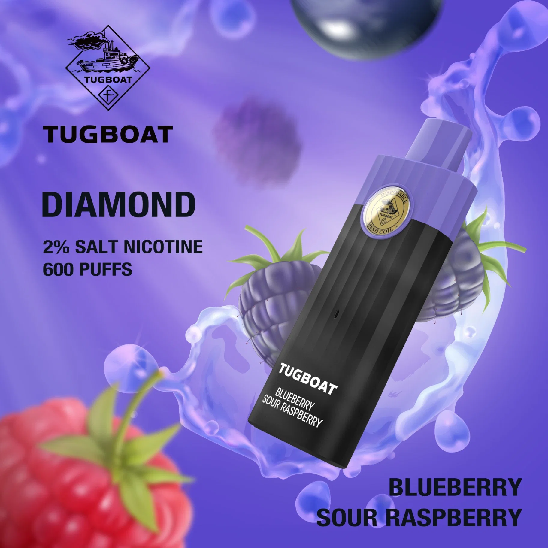 Vapes Disposable/Chargeable Cheap Flavor Fruit 2% Salt Nic Vape