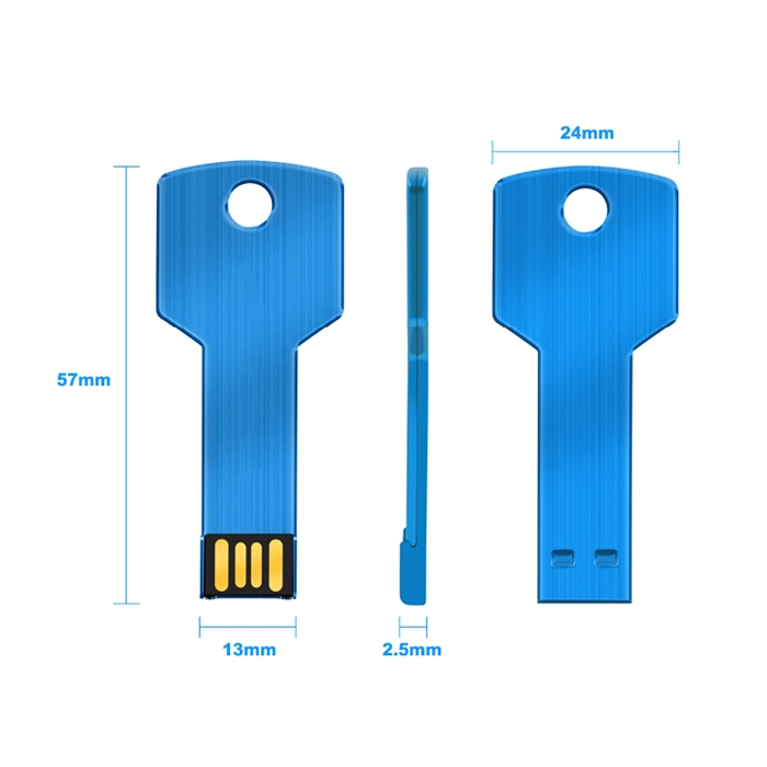 Clé USB personnalisée OEM Pen Drive 2 Go 4 Go 8 Go 16 Go 32 Go, support clé USB 2.0 clés