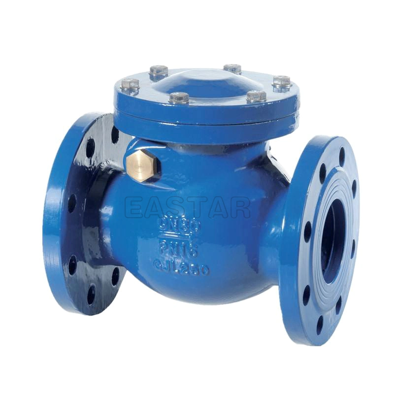 Ductile Iron Ggg50 Flanged End Double Disc Swing Type Check Valve