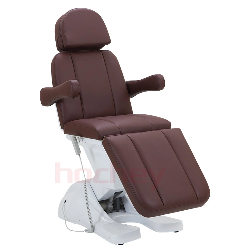 Hochey Hot Selling 3 Motors Electric Acupuncture Table Massage Table Bed Equipment Beauty Salon Furniture