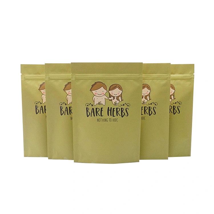 Custom Kraft Paper Zipper Lock Stand up Plastic Bag Coffee, Tea Foods Packaging Bag