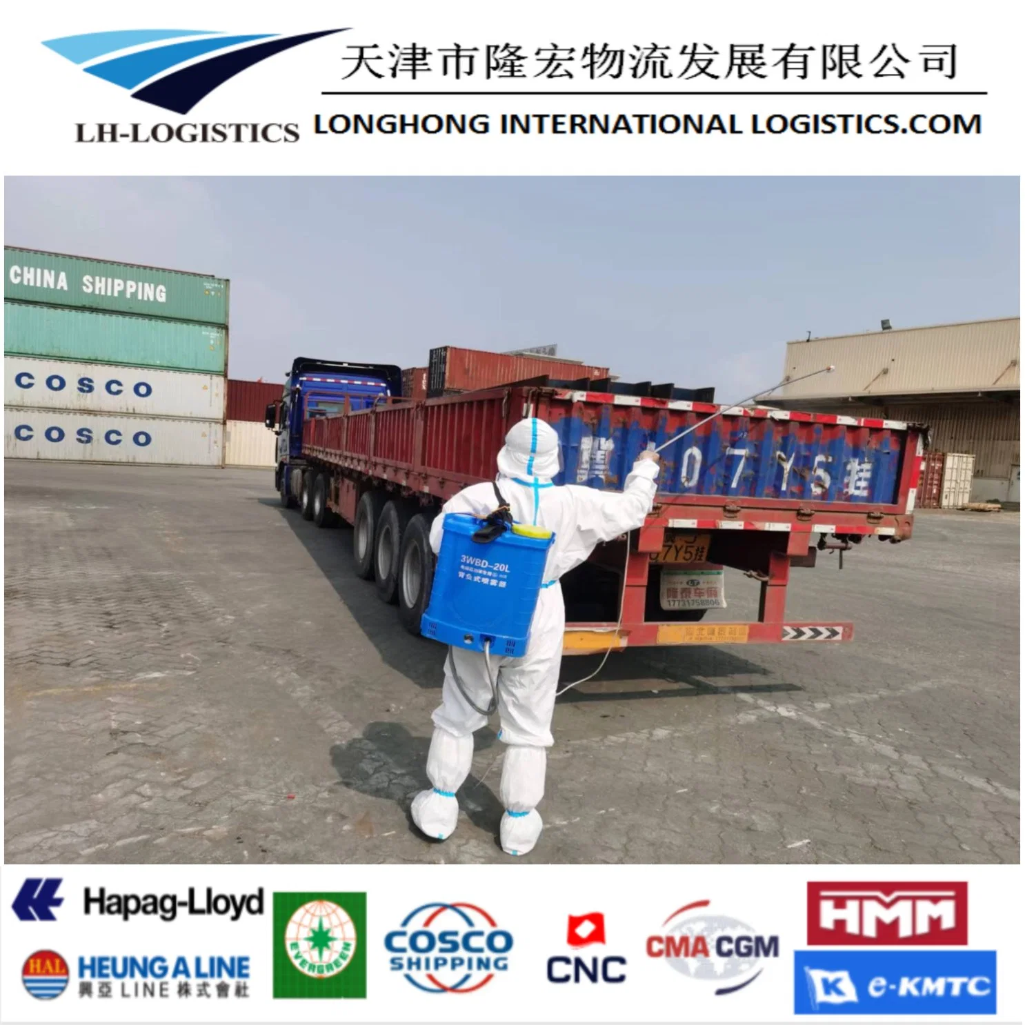 Professional Special Cargo Shipping Agent Shipping Transportation Freight Logistics From China to Europe Price