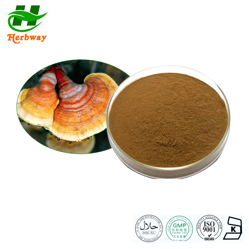 Herbway Reishi Mushroom Extract Ganoderma Lucidum (Leyss ex Fr.) Karst Extract10%30%50% Polysaccharides