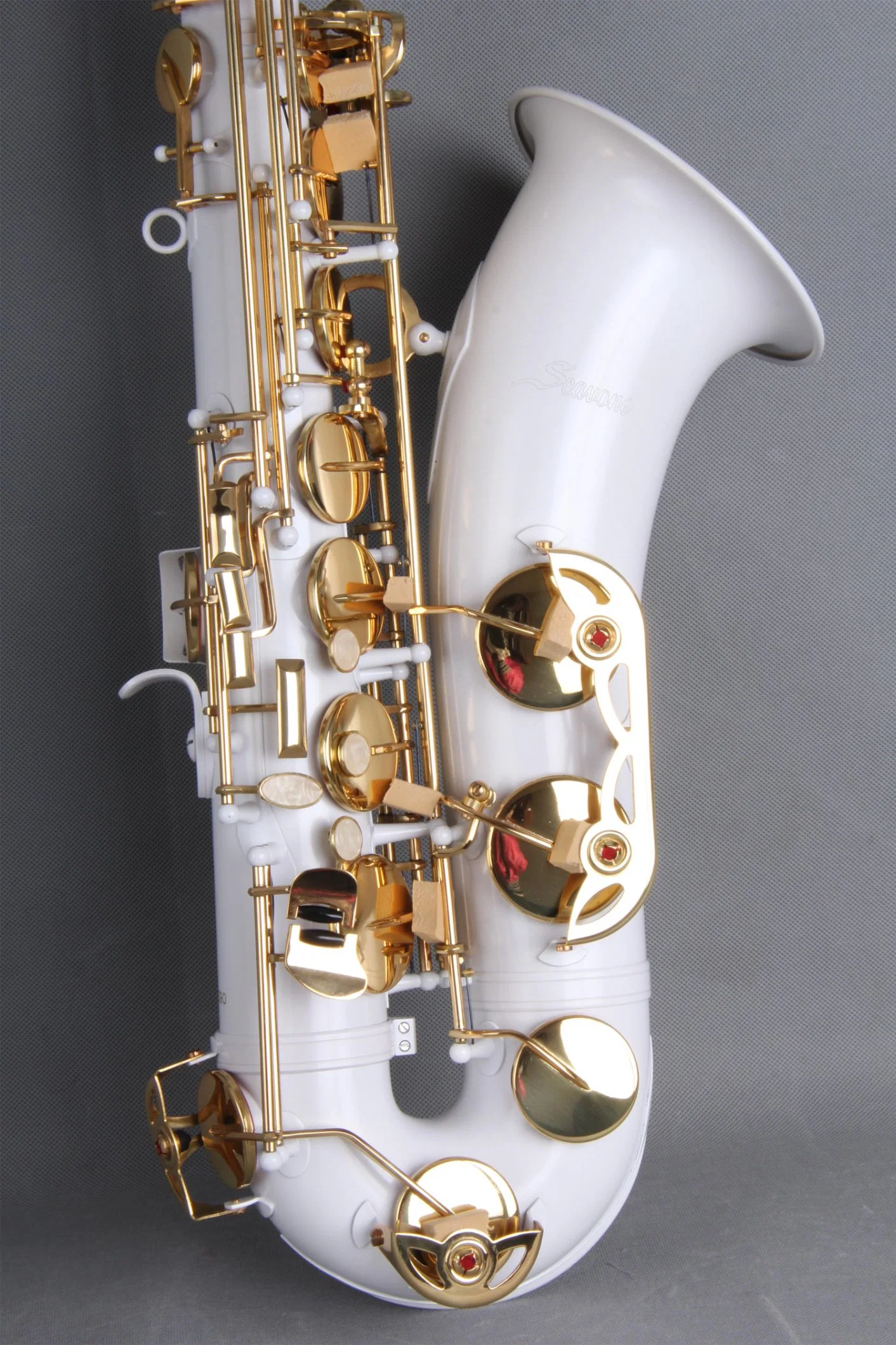 Tenor Saxophone / Tenor Sax / Colour Saxophone (SAT-C)