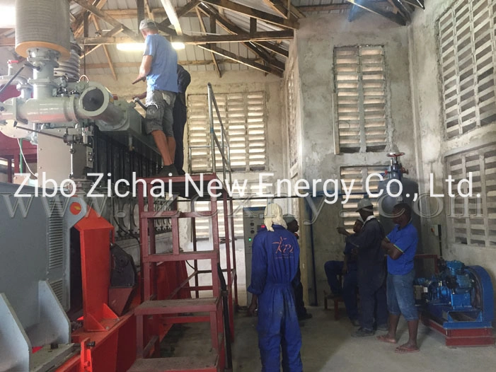 Wood Sugarcane Residue Bagasse Gasifier Generator for Domestic Waste Power Generation