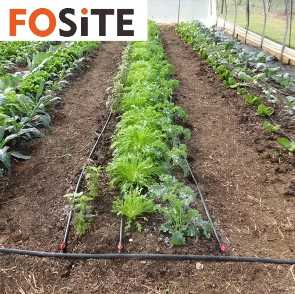 Fosite Drip Irrigation System for Horticultural Greenhouse