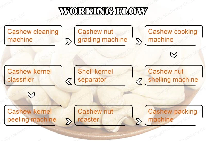 industrial Cashew Nut Baking Nuts Cleaning Roasting Processing Machine