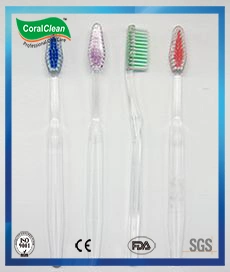 Oral Care Adults&prime; Soft Nylon Bristle with Transparent Handle