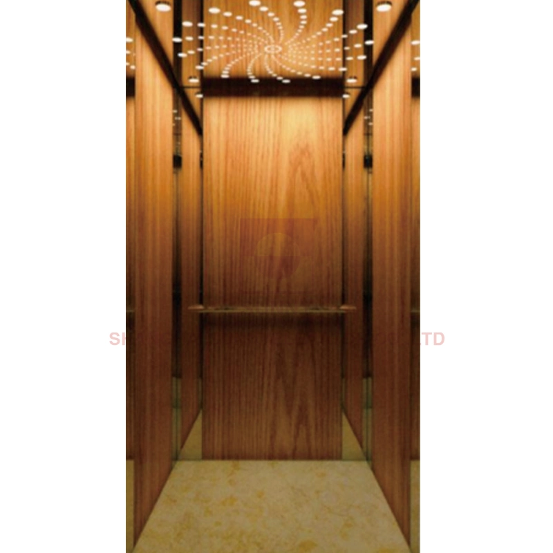 Load 250~400kg Steel Band Style Villa Elevator / Passenger Elevator