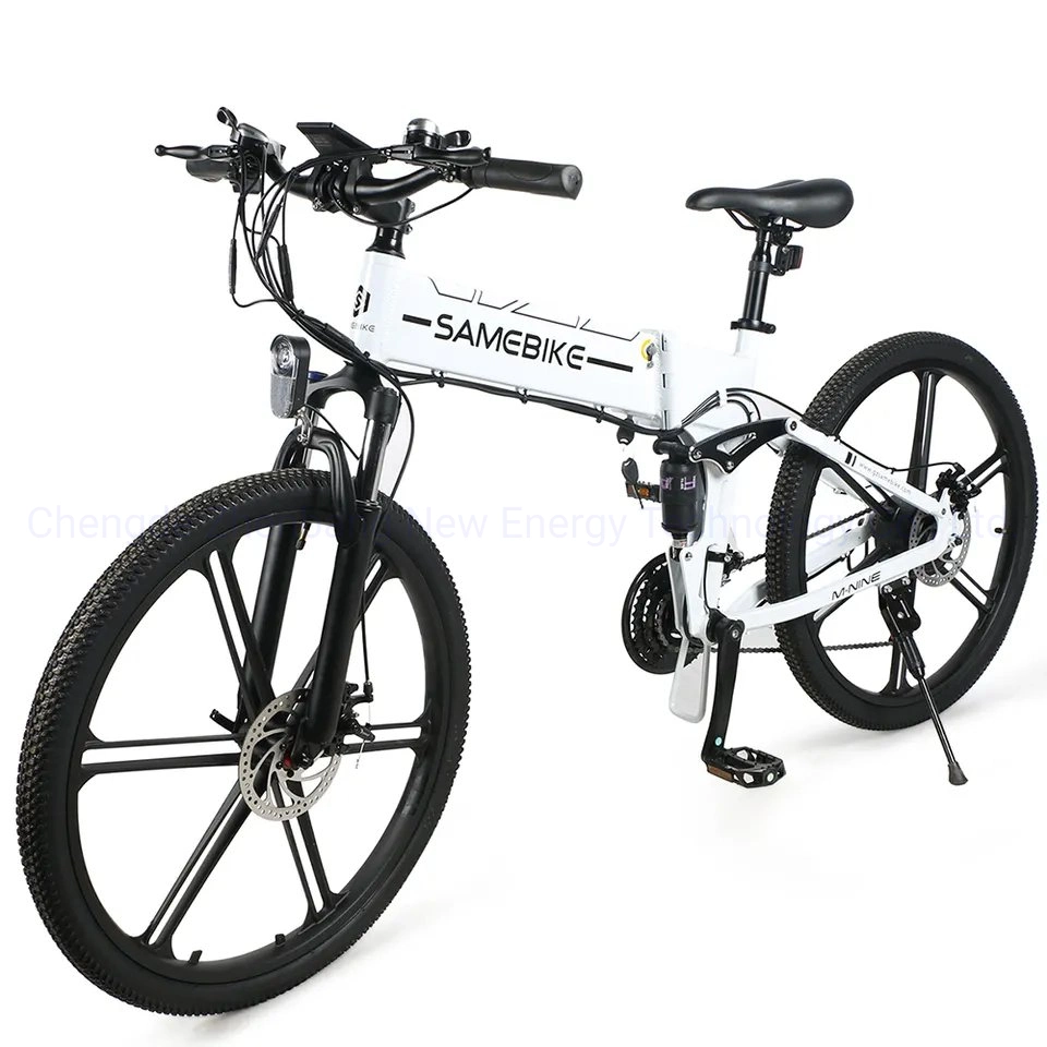 Latest Lo26-II-FT 750W Huge Power Electric Bike High Speed 48V12.4ah Lithium Battery E-Bike