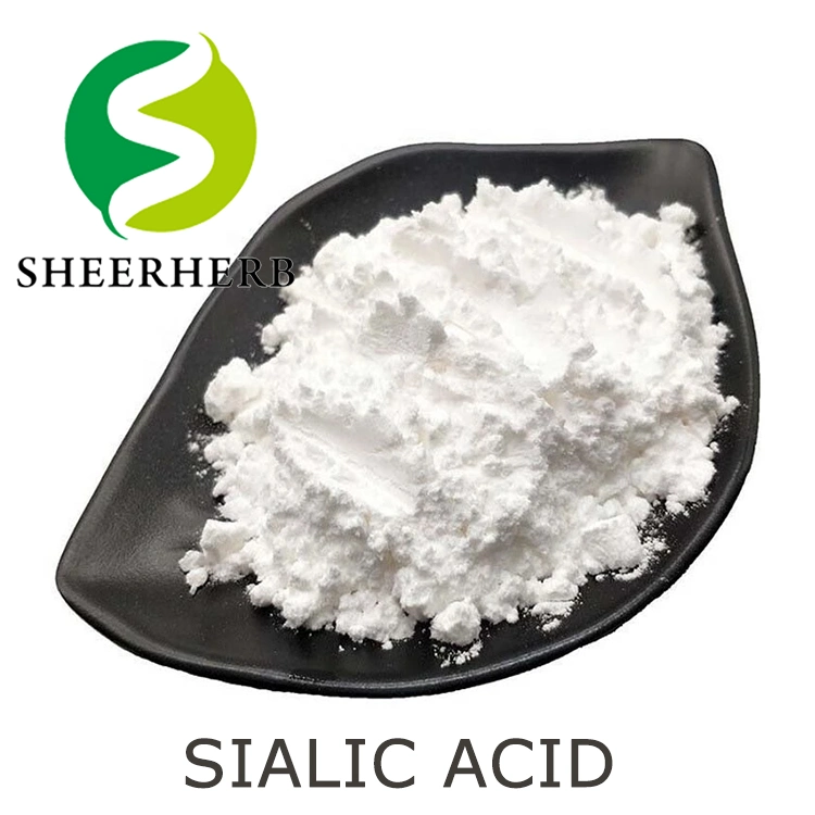 100% Pure Natural Bird's Nest Acid 98% Cubilose Sialic Acid Powder CAS 131-48-6 N-Acetylneuraminic Acid Powder