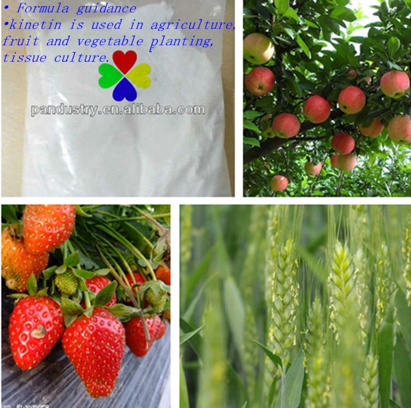 Agriculture Plant Hormones Cytokinin Kinetin 6kt 6-Furfurylaminopurine 99%Tc Powder