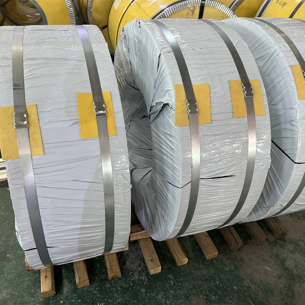 Hot/Cold Rolled Customized Bandwidth Design 304 304L 316 316L Stainless Steel Roll Strip