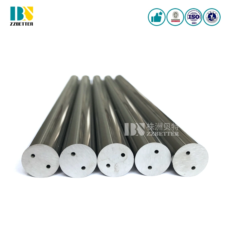 Cemented Tungsten Carbide Rods with Two Straight Holes