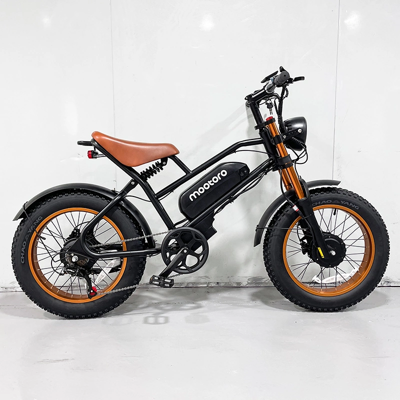 4000W 52V 20ah Fast Electric Dirt Bike Suspension Dual Motor E-Bicycle Motorcycle