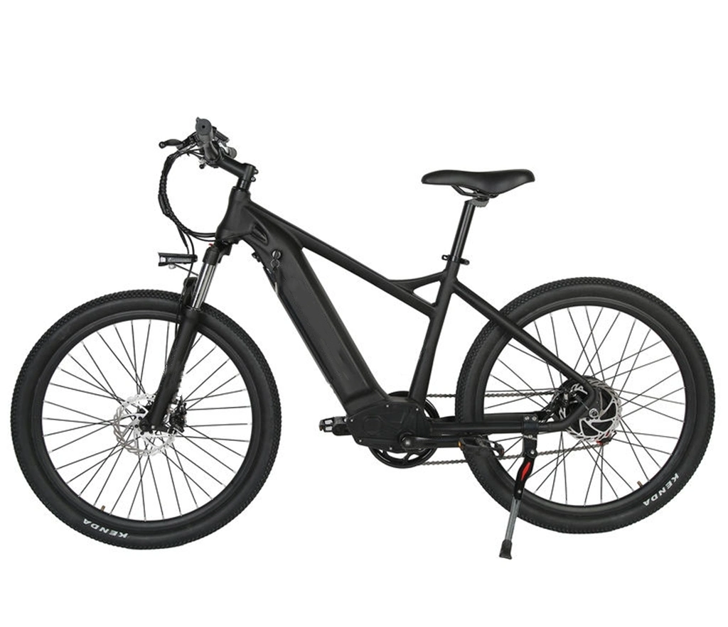 48V 500 Вт мощности 750 Вт Китай дешевые полной приостановки ретро Vintage E велосипед Ebike грязь горных велосипедов в шинах жира электрический велосипед