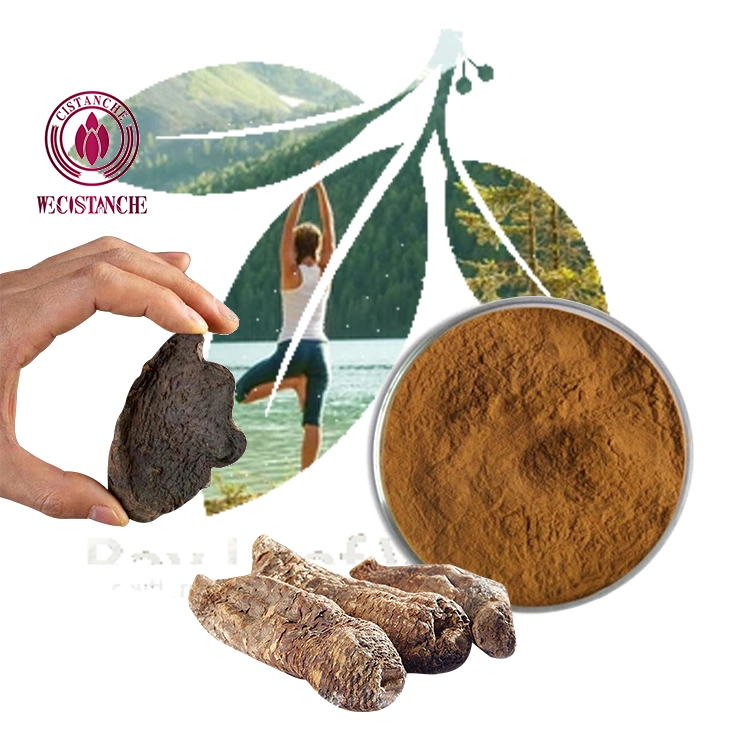 100g/Bag Enhance Kidney Supplements 30% Echinacoside Cistanche Tubulosa Powder for Stamina Motivation