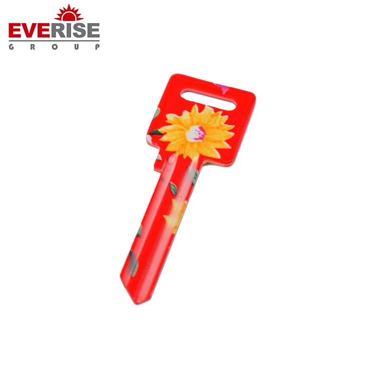 Customer Design Various Color Keys for Promotional Garage Door Blank Keys