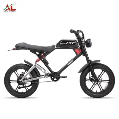 500W/750W/1000W 26 Inch MTB Fat Tire Electric Mountain Bike