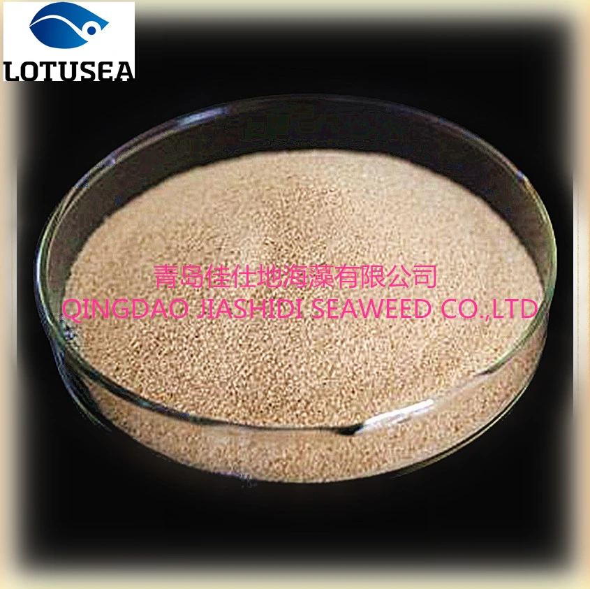 Lotusea High quality/High cost performance  Sodium Alginate 1500cps for Textile