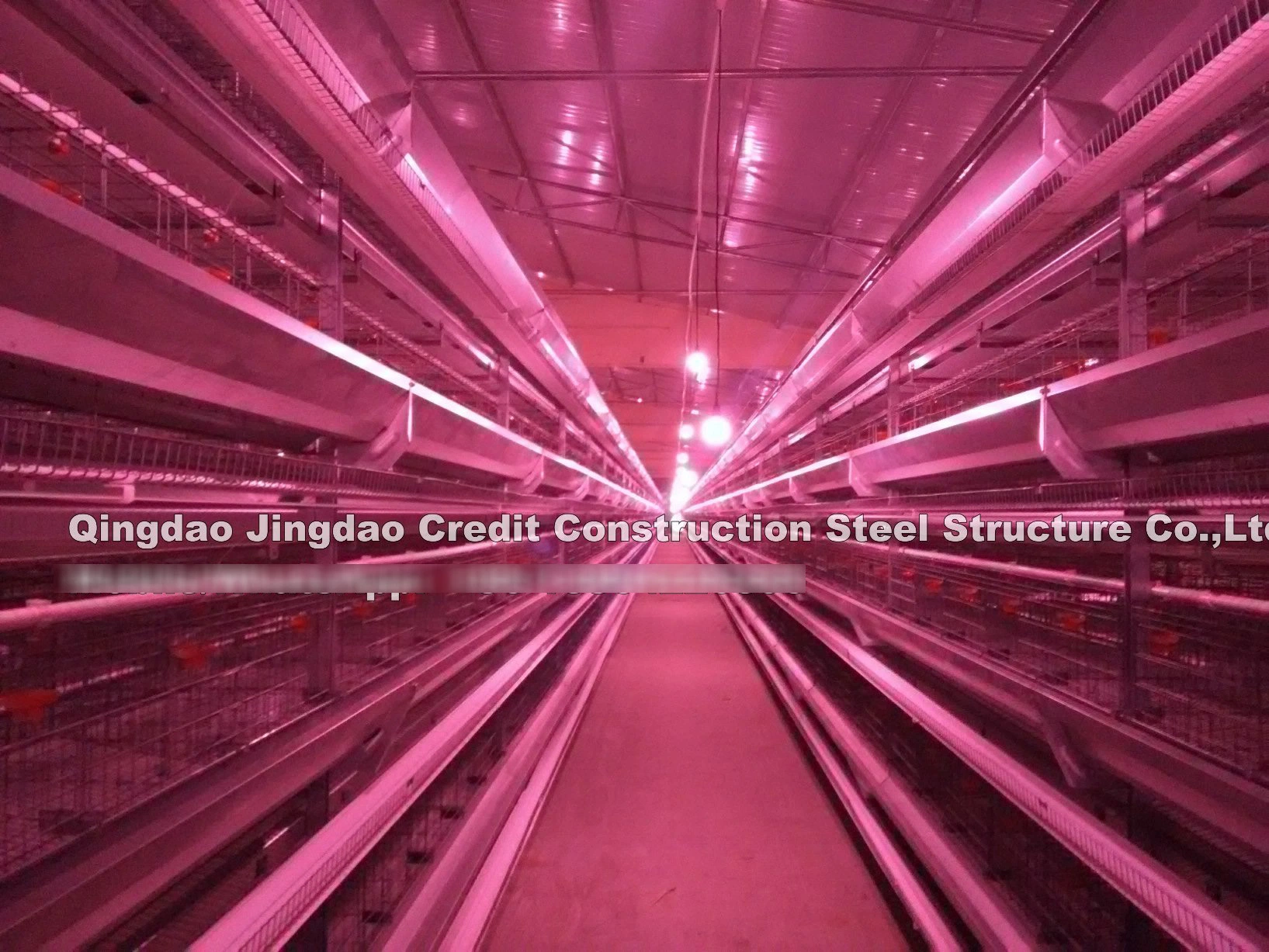 World Amazing Modern Eight-Layer Poultry Equipment Poultry House Chicken Farm Broiler House Egg Layer House