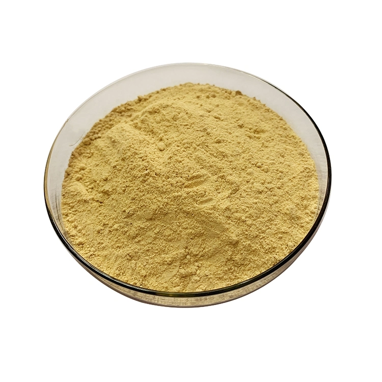 Hot Selling Products 100% Natural Food Additive 50% Soybean Lecithin Powder CAS No. 8002-43-5