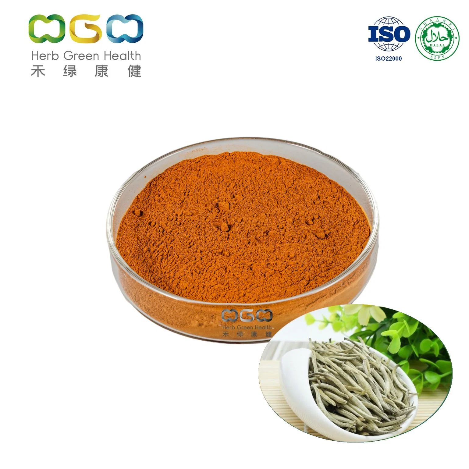 Istant Drink Powder Pure Natural White Tea Powder White Tea Polyphenls for Bubble Tea