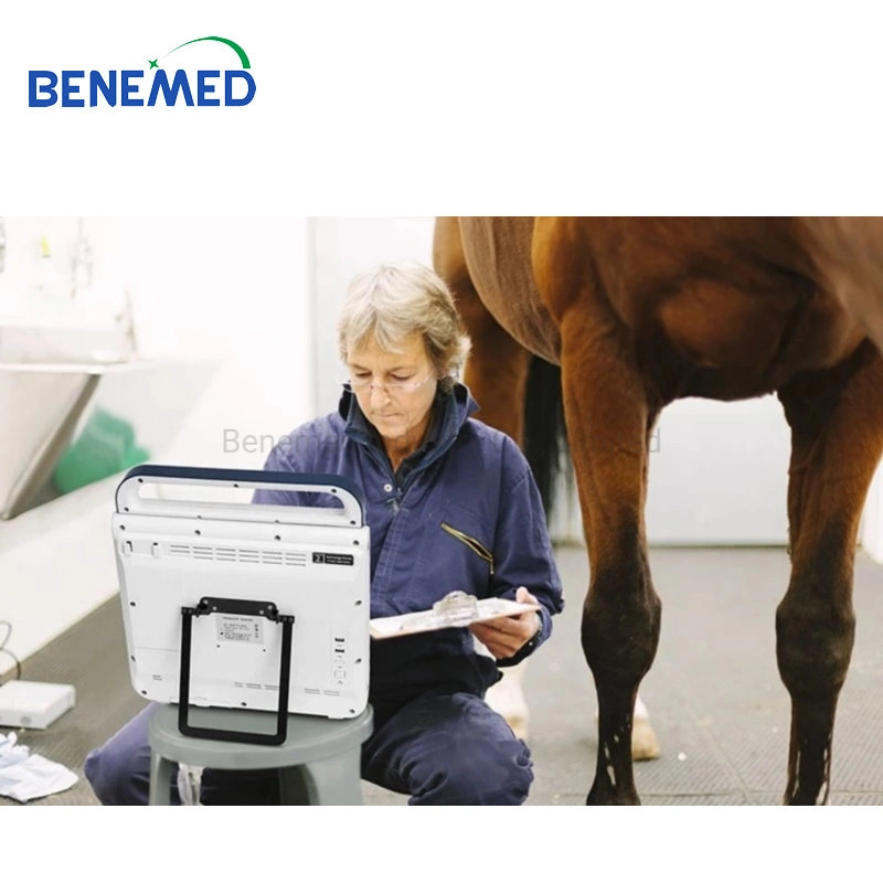 Opu Function Professional Veterinary Hand-Carried Touch Screen Ultrasound Equipment