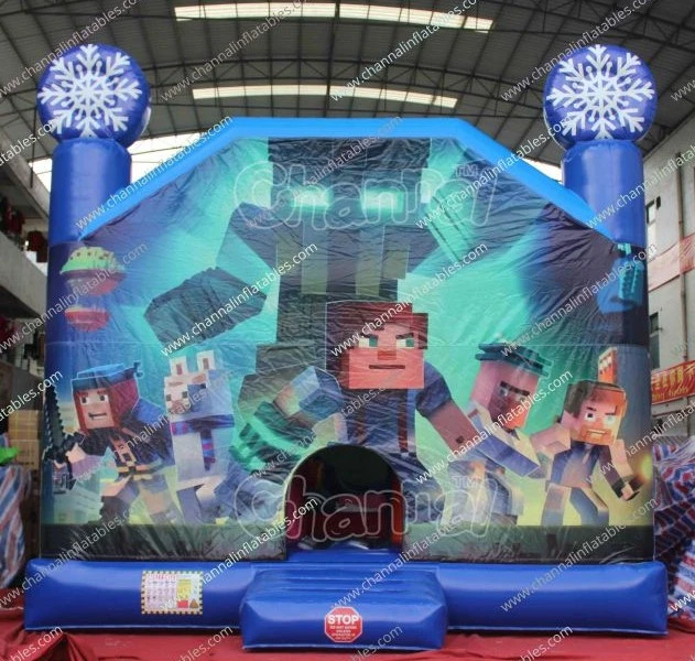 Commercial Bounce House Inflatable Bouncer