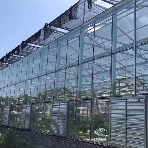 China Agriculture/Commercial Poly-Tunnel Plastic Film Greenhouses with Ventilation Cooling System for Rose/Flower/Berries/Soilless Herbs Hydroponics Growing