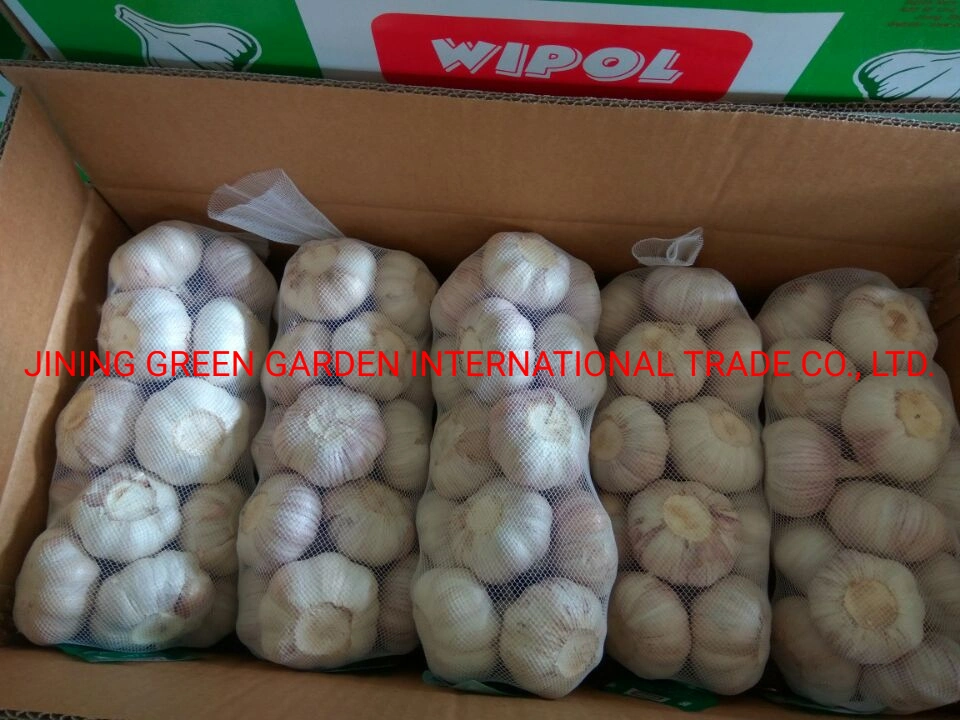 Flavorful Delicious White Dried Dehydrated Fresh Garlic Manufacturer Price