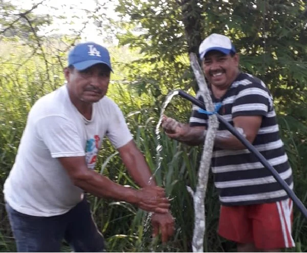 Langlebiges 5 PS Solar Water Pump System: Steigern Sie die Produktivität und Effizienz in landwirtschaftlichen Operationen