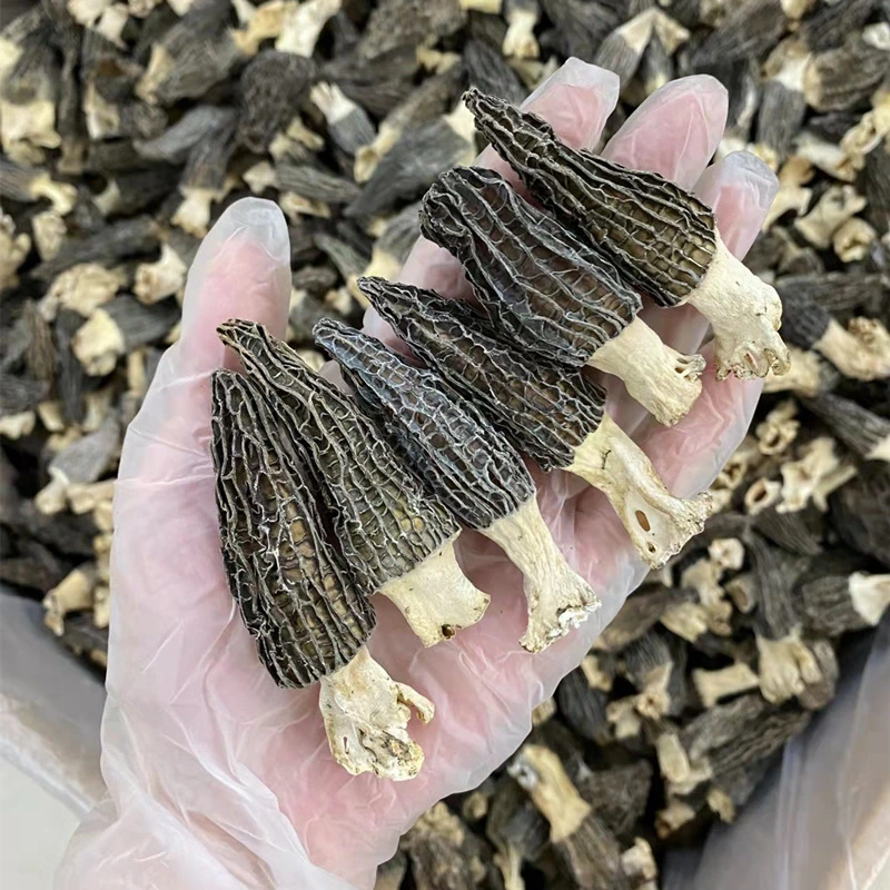 Factory Direct Supply Dried Morel Mushroom