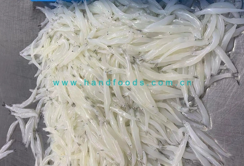 Good Quality of Healthy Seafood of Silverfish 1kg with Plastic Bag or Retail Paper Boxes