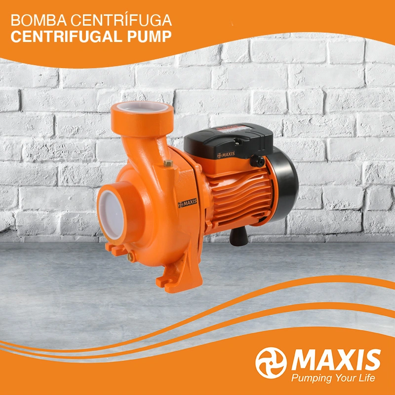 Large Flow AC Centrifugal Pump to Fulfill Tanks or Pond and Transfer Clean Water