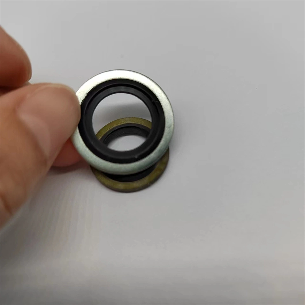 Viele Größen/Kundenspezifische Größen Verfügbar/Kundenspezifische Verpackung Usit Bongded Washer Seal