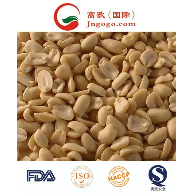 أعلى جودة/New Crop Shandong Peanut Kernel Peanut في شل