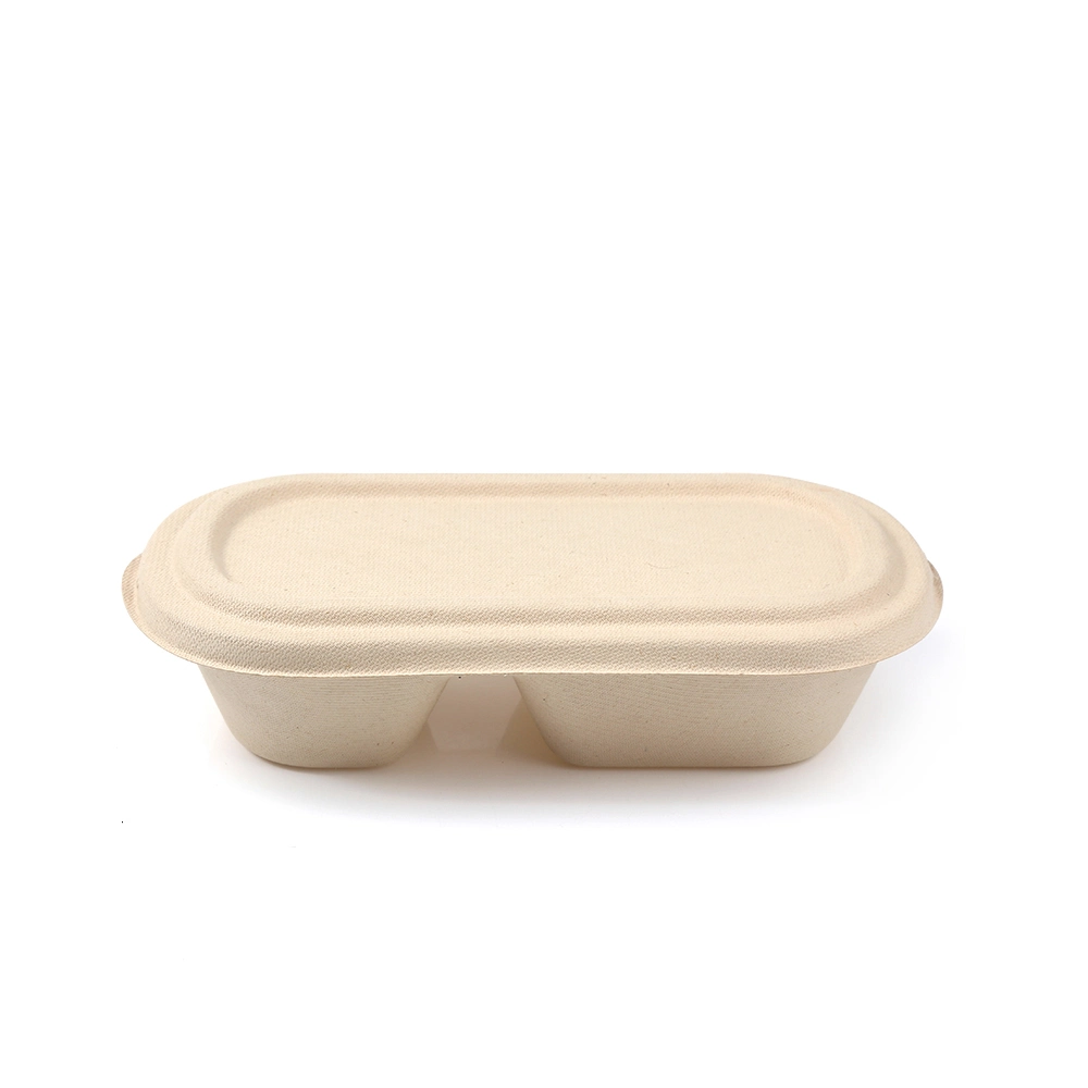 Safe Microwave Environmentally Friendly Biodegradable Disposable Sugarcane Pulp Bagasse Food Packaging Takeaway Food Container Lunch Box