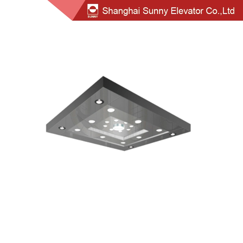 Etched Design Decorative Stainless Steel Elevator Ceiling Light Panel