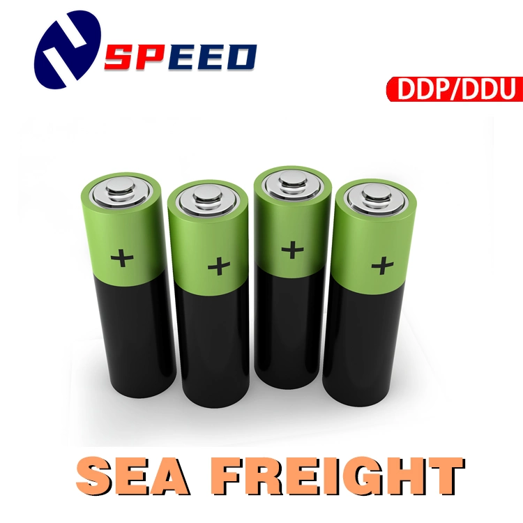 Sea Freight Forwarder From China to Amazon Fba USA