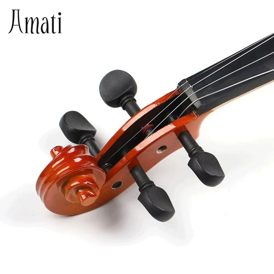 Online Shop Hot Sale Brazil Wood Cheaps Accessory with Cases Violin