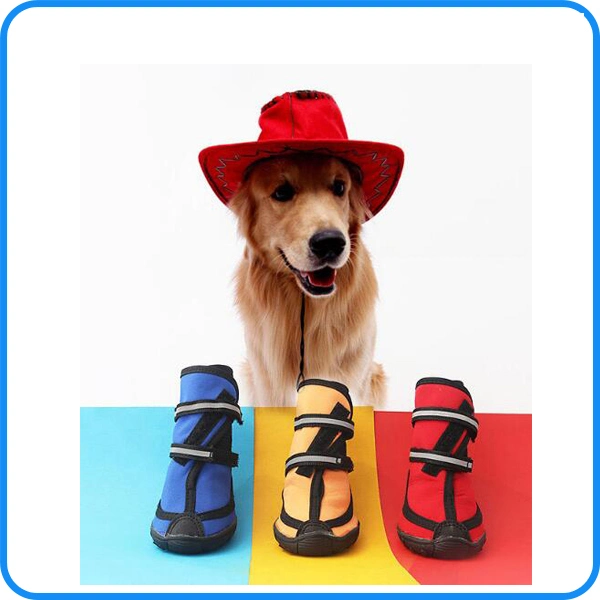 Factory Wholesale/Supplier High quality/High cost performance Pet Shoes Dog Boots