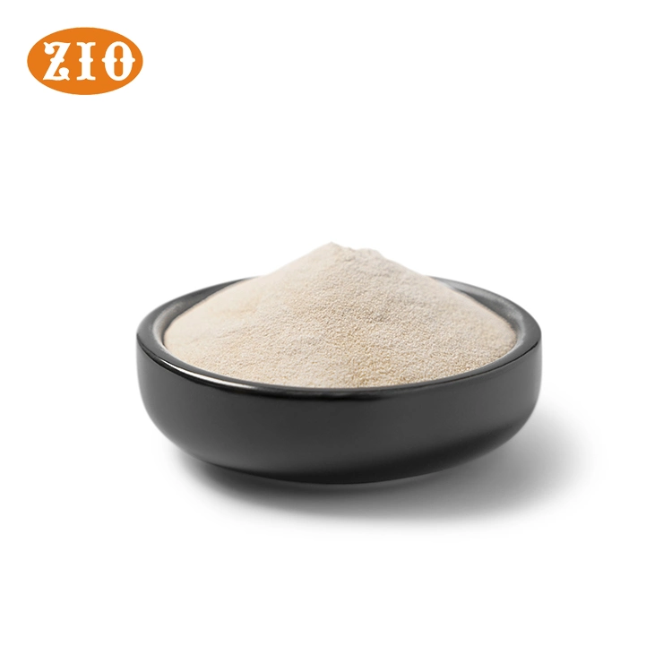 Hot Sales Factory Price Food Grade Additive 80 Mesh 11138-66-2 Xanthan Gum