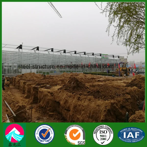 China Supplier Low Cost Multi-Span Glass Greenhouse