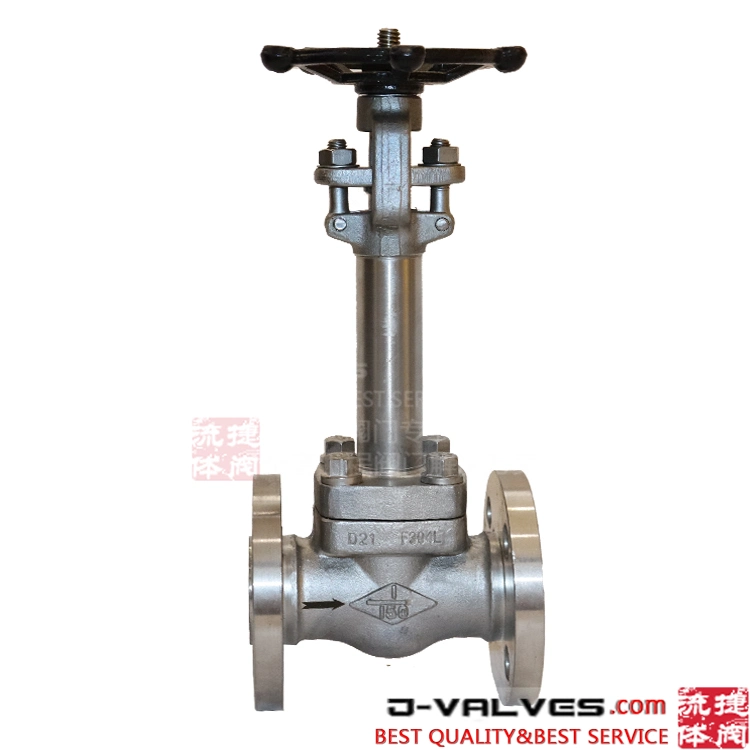 Cryogenic Globe Valve Stainless Steel F304L Flange 1inch DN25 150#