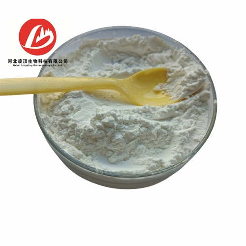 CAS No.: 63-42-3 Manufacturer Supply Powder Lactose